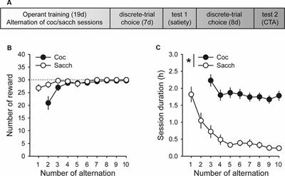 Habitual Preference for the Nondrug Reward in a Drug Choice Setting